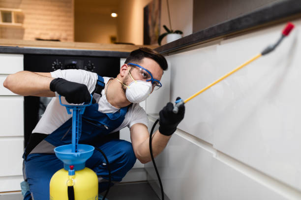 Best Affordable Pest Control Services  in Gustine, CA
