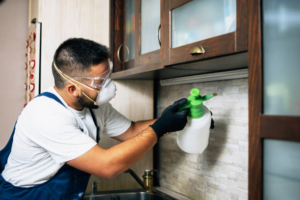 Best Wasp Removal Services  in Gustine, CA