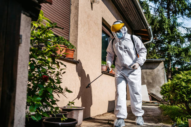 Best Bird Control  in Gustine, CA