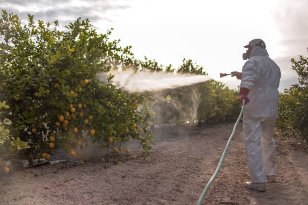 Best Pest Inspection Near Me  in Gustine, CA