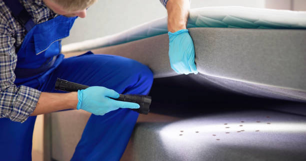 Flea Control Services in Gustine, CA