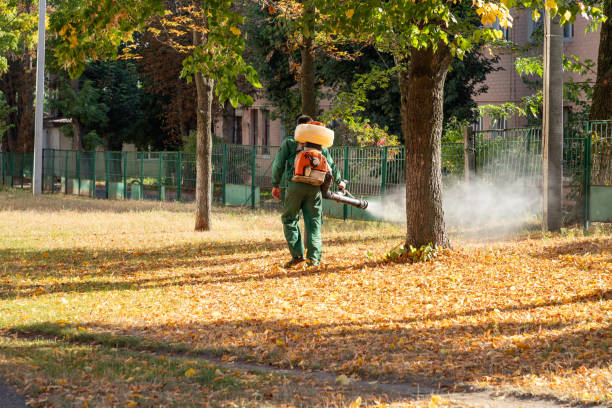 Best Best Pest Control Companies  in Gustine, CA