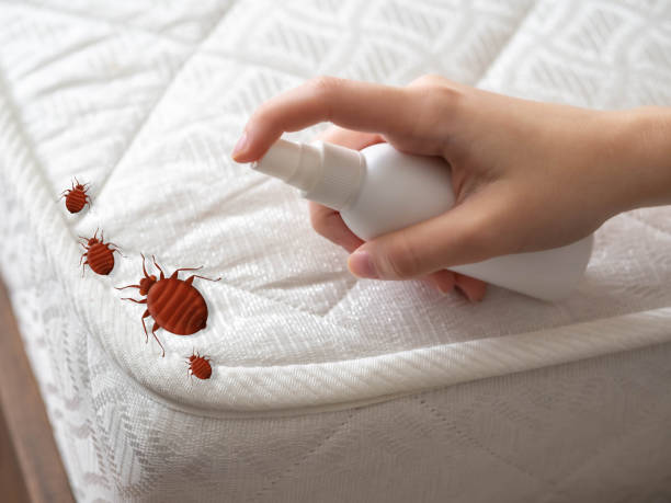 Best Mosquito Control Services  in Gustine, CA