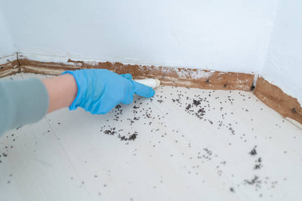 Best Exterminator Services  in Gustine, CA