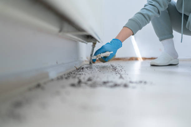 Best Best Pest Control Companies  in Gustine, CA